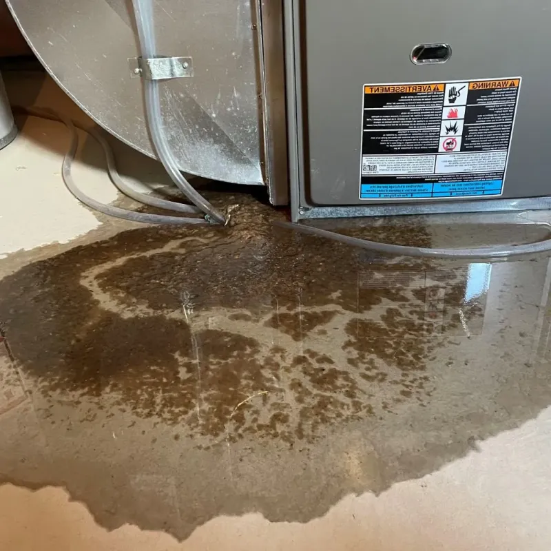 Pipe Burst and Leak Restoration in Jefferson Heights, NY