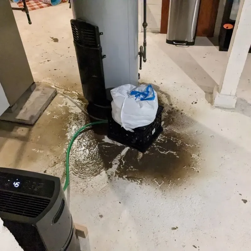 Sewage Backup Cleanup Service in Jefferson Heights, NY